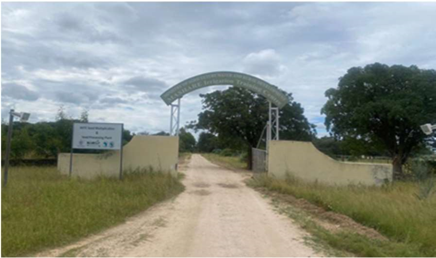 Seed Processing Plants Design